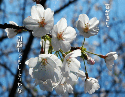 引越し前後クリーニング