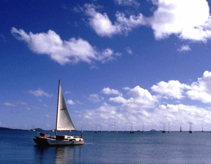 Mクリーン武蔵小杉　業務用ｴｱｺﾝｸﾘｰﾆﾝｸﾞ専門店